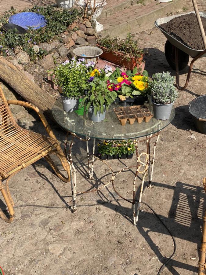 Spurensucher Quartier Usedom Town Ngoại thất bức ảnh